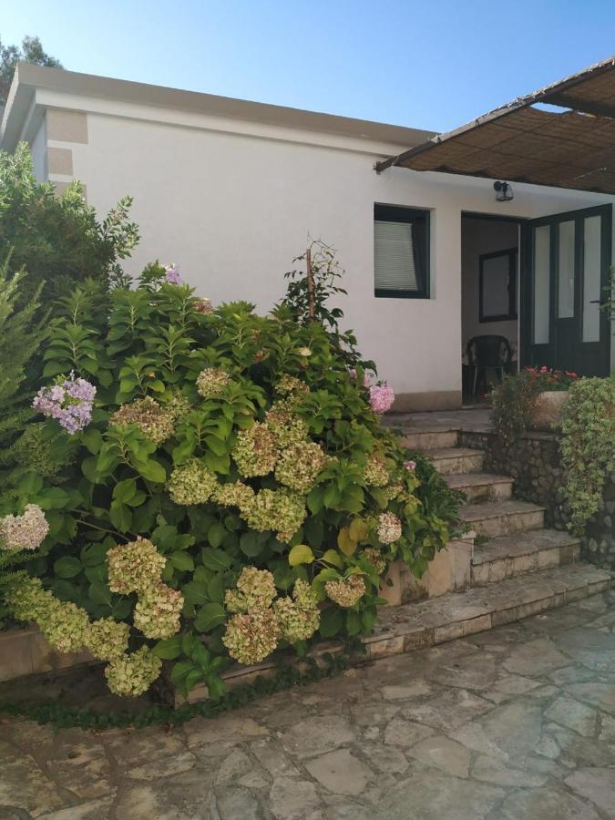 Kjara Apartments Teodo Esterno foto